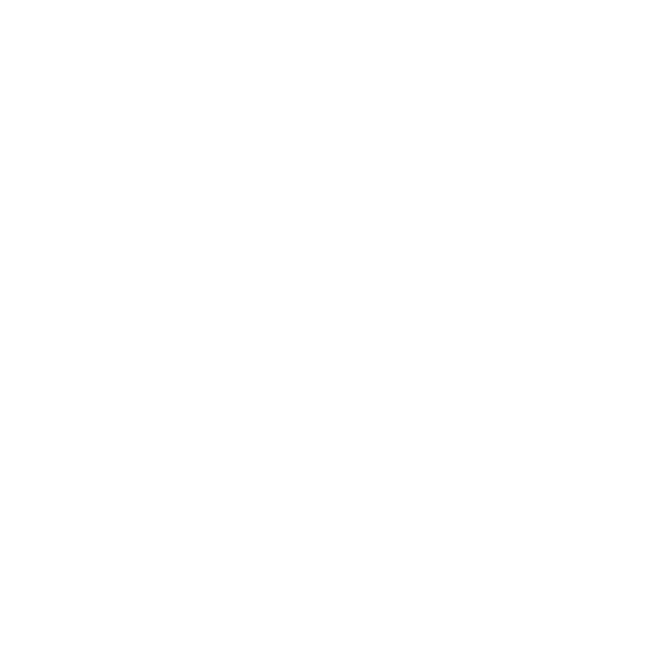 Faster Icon